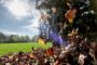 Afbeelding - https-www-ez-catalog-nl-Asset-720f19475a7745d1be44763163a990b8-ImageFullSize-0160700a-03-jpg